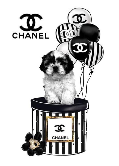 chanel wall|free printable chanel pictures.